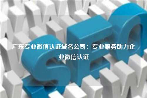 广东专业微信认证域名公司：专业服务助力企业微信认证