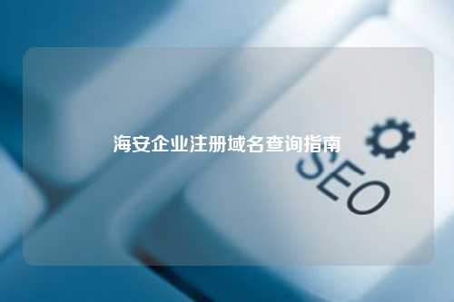海安企业注册域名查询指南